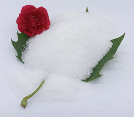 Ye polyacrylamide ye cɔl polyacrylamide ye cɔl polyacrylamide ye cɔl polyacrylamide ye cɔl polyacrylamide ye cɔl polyacrylamide ye cɔl polyacrylamide ye cɔl polyacrylamide